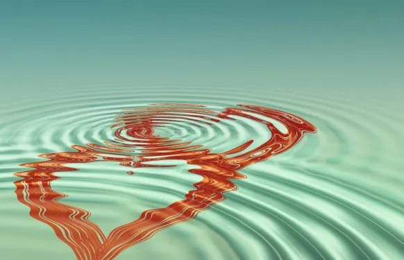 Kasino Barbados Bingo Sokongan